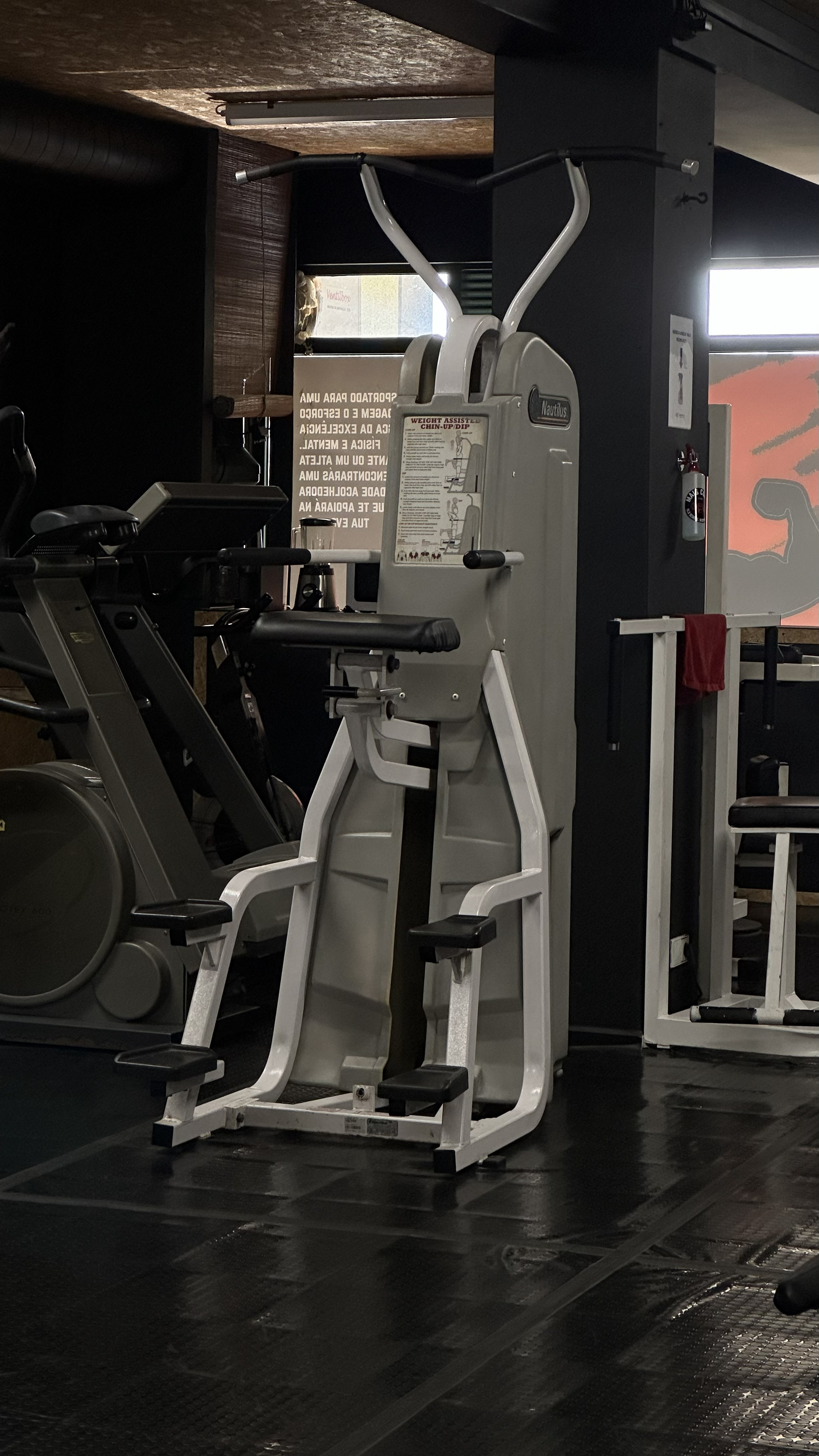 Chin-Up Dip Assistido