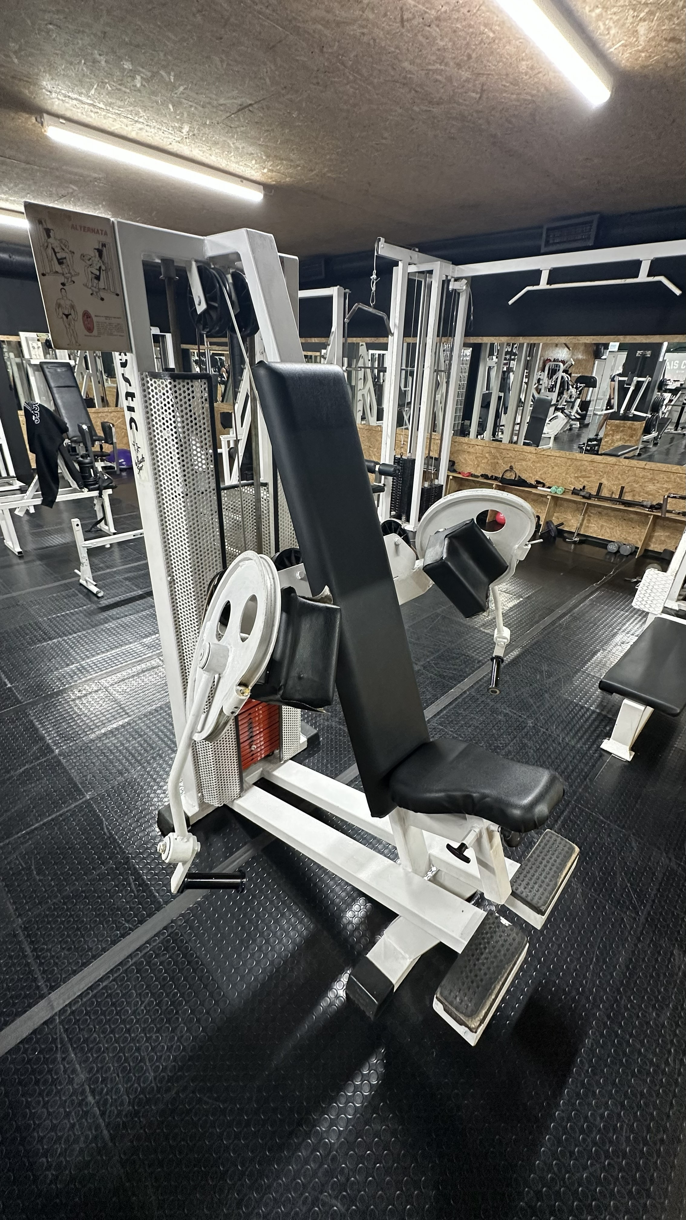 Bícep Curl Unilateral